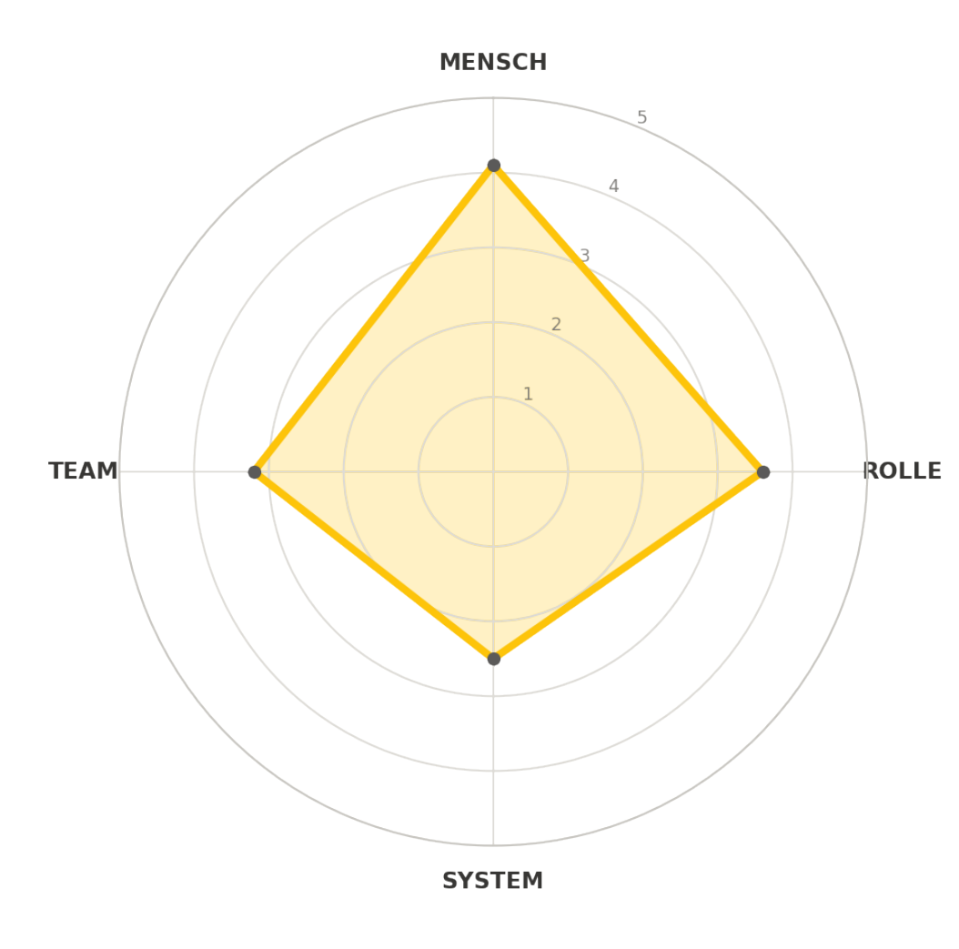 Große Original-Radargrafik aus dem GRIP-CHECK-Musterreport mit fiktiven Beispielwerten für MENSCH, ROLLE, TEAM und SYSTEM
